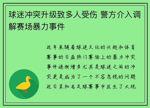 球迷冲突升级致多人受伤 警方介入调解赛场暴力事件 球迷冲突升级致多人受伤 警方介入调解赛场暴力事件